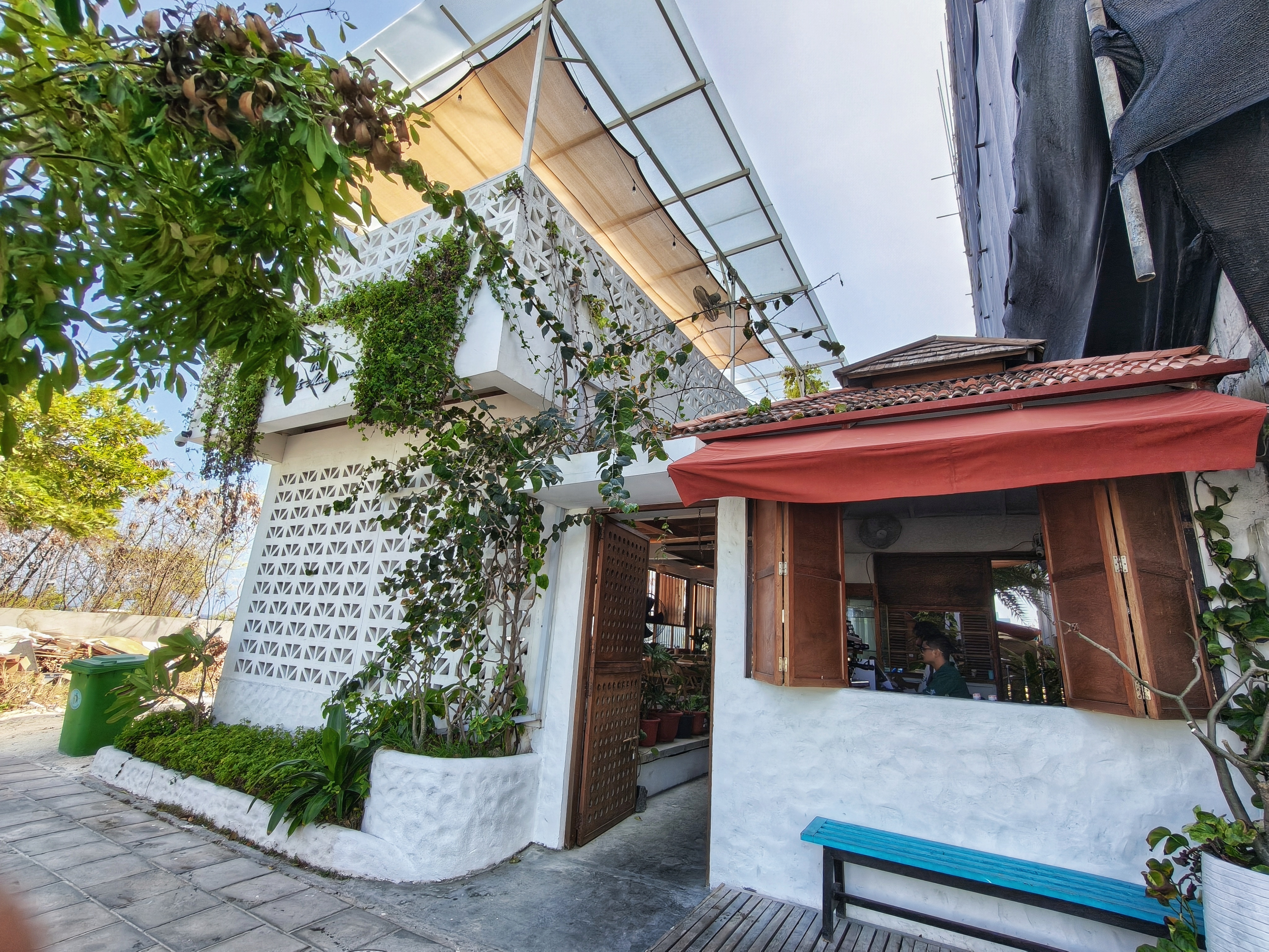 Gallery image 1 for White Mangrove in Hulhumalé